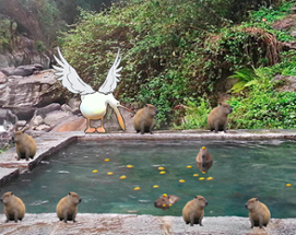 Pelican grabs a Capybara Image