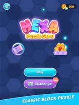 Hexa Puzzle Guru Image