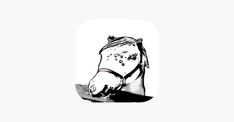 Horse Coat Colors - Quiz Image