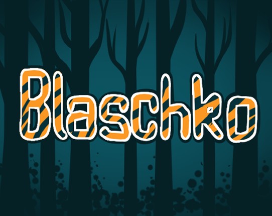 Blaschko Image