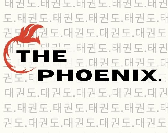 the phoenix Game Cover