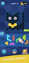 Hexa Puzzle Guru Image