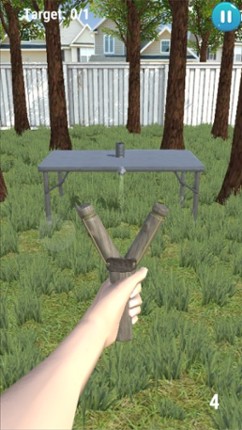 Slingshot Master Image