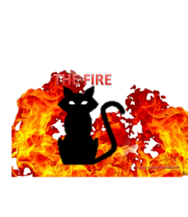 The fire Image