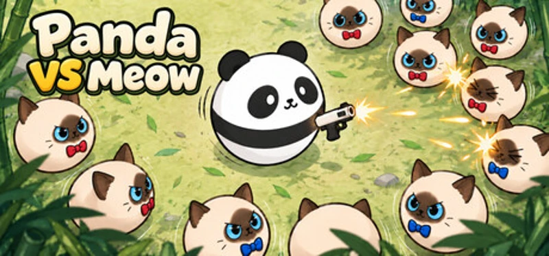 Panda vs Meow Image