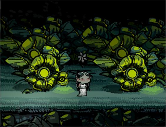 Ask the Flowers Image