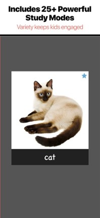 Bitsboard Flashcards &amp; Games Image