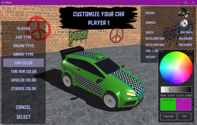 DSRally screenshot