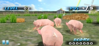 Farm Race Image