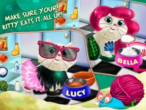 Kitty Cat Pet : Dress Up &amp; Play Image