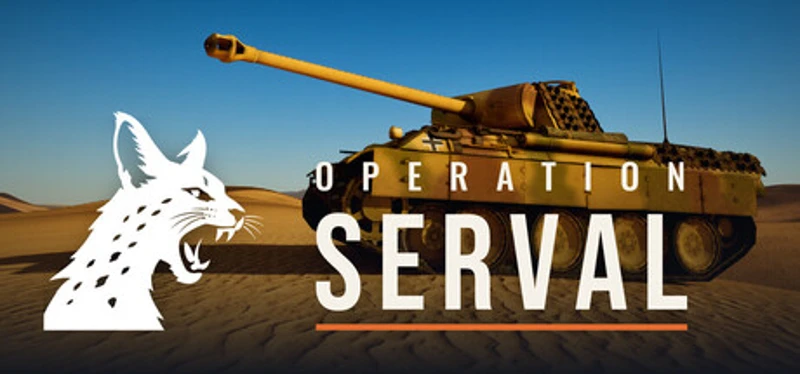 Operation Serval Image