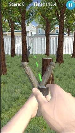 Slingshot Master screenshot