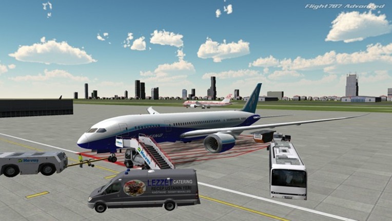 Flight 787 - Advanced screenshot