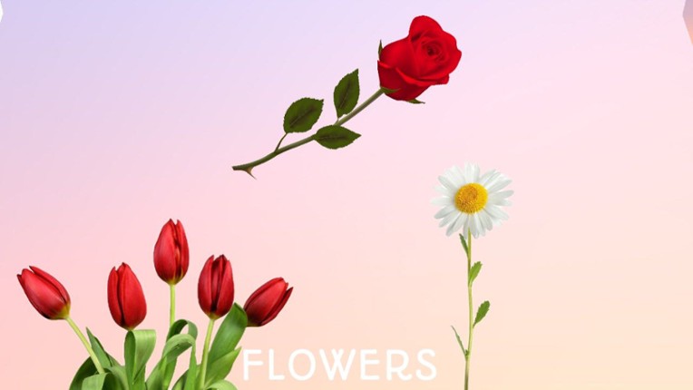 FLOWERS Image