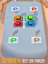 Perfect Park Master 3D Image