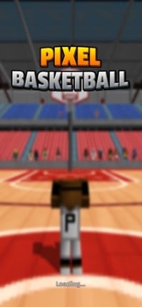 Pixel Basketball 3D screenshot