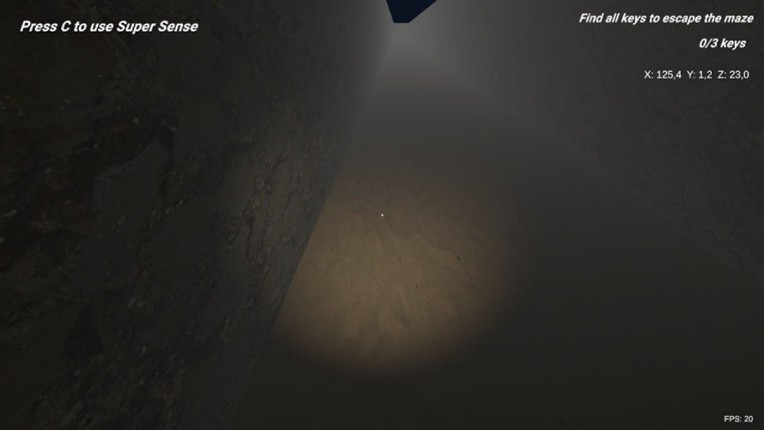 SHADOW MAZE Descent into Fear screenshot