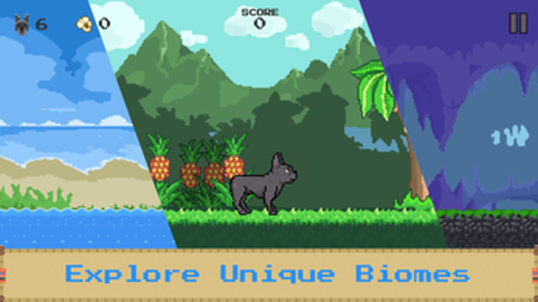 Blue's Paradise screenshot
