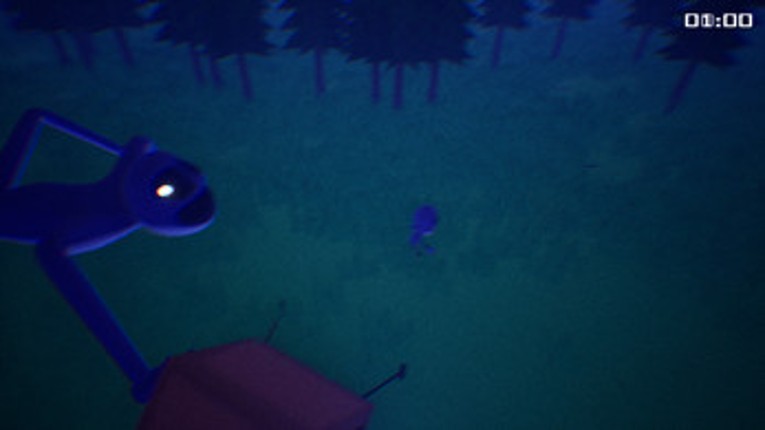 Identification screenshot