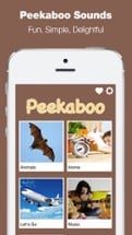 Peekaboo Sounds - Toddler Game Image