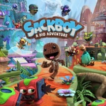 Sackboy: A Big Adventure Image