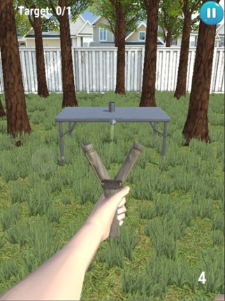 Slingshot Master screenshot