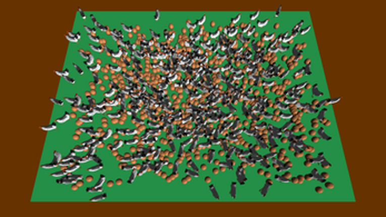 Untitled Chicken Breeder Image