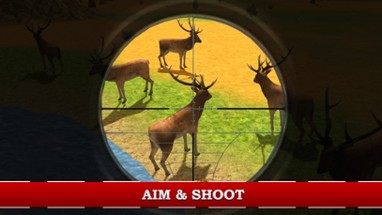 Wildlife Jeep Safari Simulator &amp; Animal Hunter Sim Image