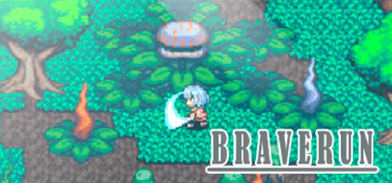 BRAVERUN Image