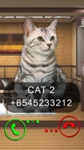 Fake Video Call Cat Image