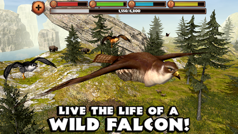 Falcon Simulator screenshot
