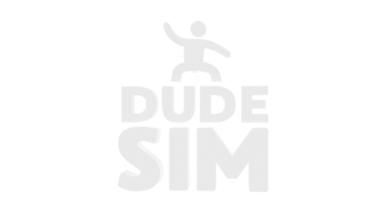 Dude Sim Image