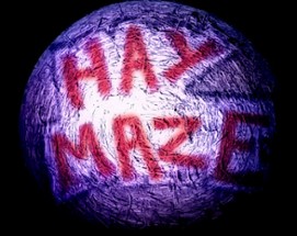 Hay Maze Image