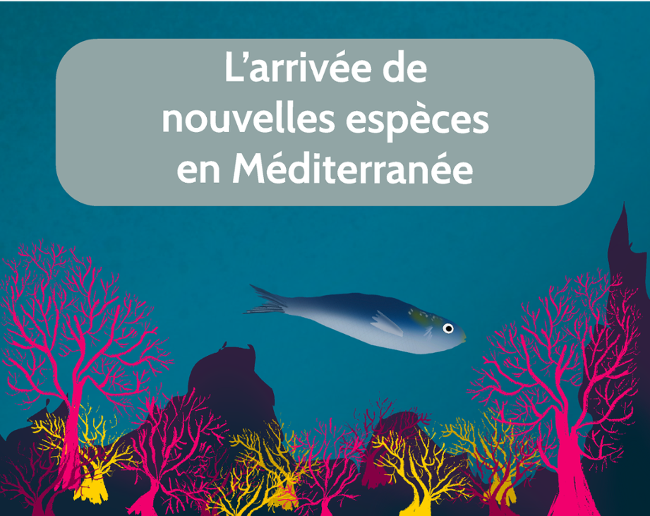Games like L'arrivée de nouvelles espèces en Méditerranée
