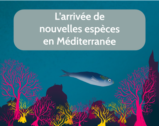 L'arrivée de nouvelles espèces en Méditerranée Game Cover