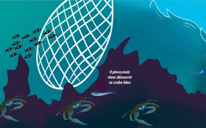 L'arrivée de nouvelles espèces en Méditerranée Image