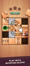 Unblock Ball : Block Puzzle Image