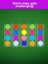 Ball Sort Game Image