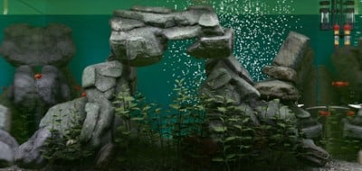 Biotope: Aquarium Simulator Image