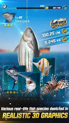 Ace Fishing: Crew-Real Fishing Image