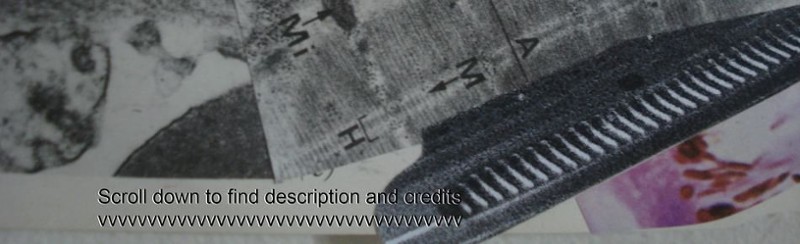 Gradient Addiction Image