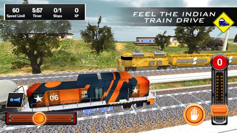 Indian Train Driver Image