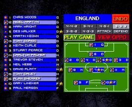 Sensible Soccer: European Champions Image