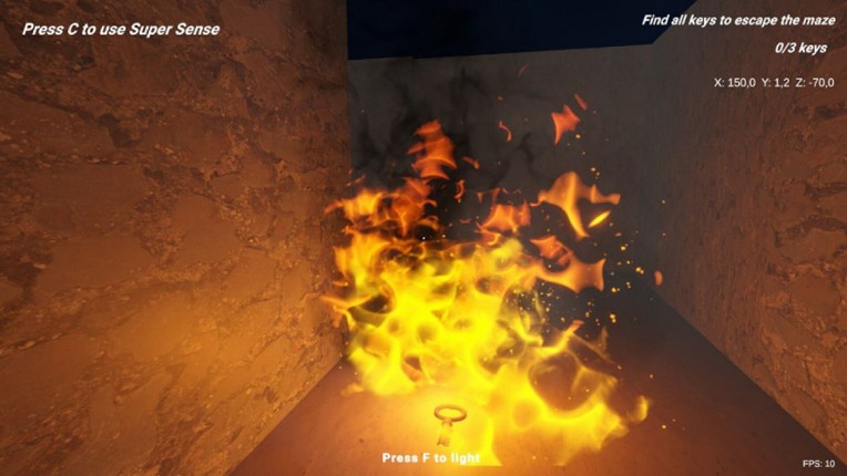 SHADOW MAZE Descent into Fear screenshot