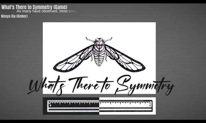 What's There to Symmetry Image