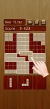 Woody Block Puzzle Brain Game Image