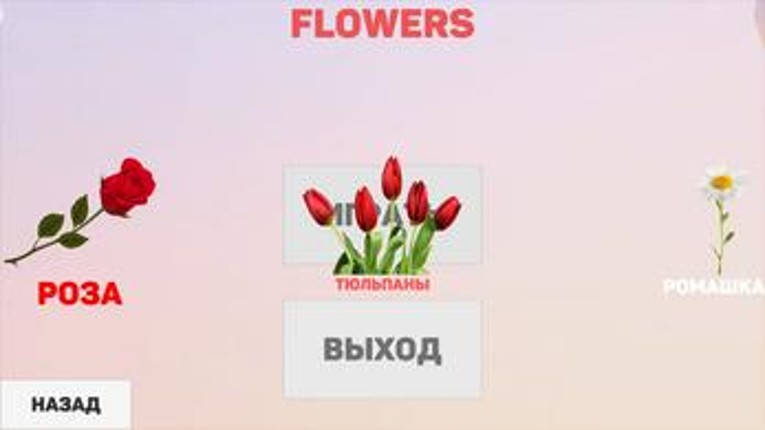 FLOWERS screenshot