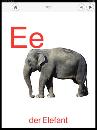 German Alphabet Learning Cards Image