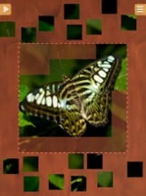 Butterfly Jigsaw Puzzles - Cool Puzzle Games Image