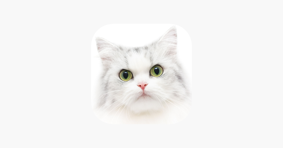 Games like Cat Kitten Kitty Pet Jigsaw Puzzles for toddlers